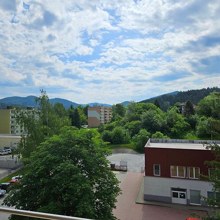 Wolf Apartman Pokojne Ubytovanie V Povazskej Bystrici Ticha Lokalita S Parkovanim Vsade Blizko Vhodne Pre Pracovne Cesty Turistiku Aj Oddych Plne Vybavena Kuchyna Považská Bystrica Kültér fotó